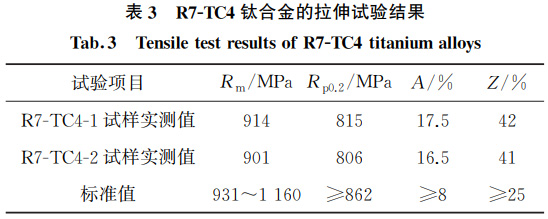 b3.jpg